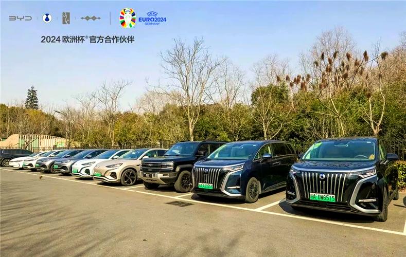 探秘比亚迪合肥工厂 高科技驱动下的高效生产与北京科技力量的协同共振